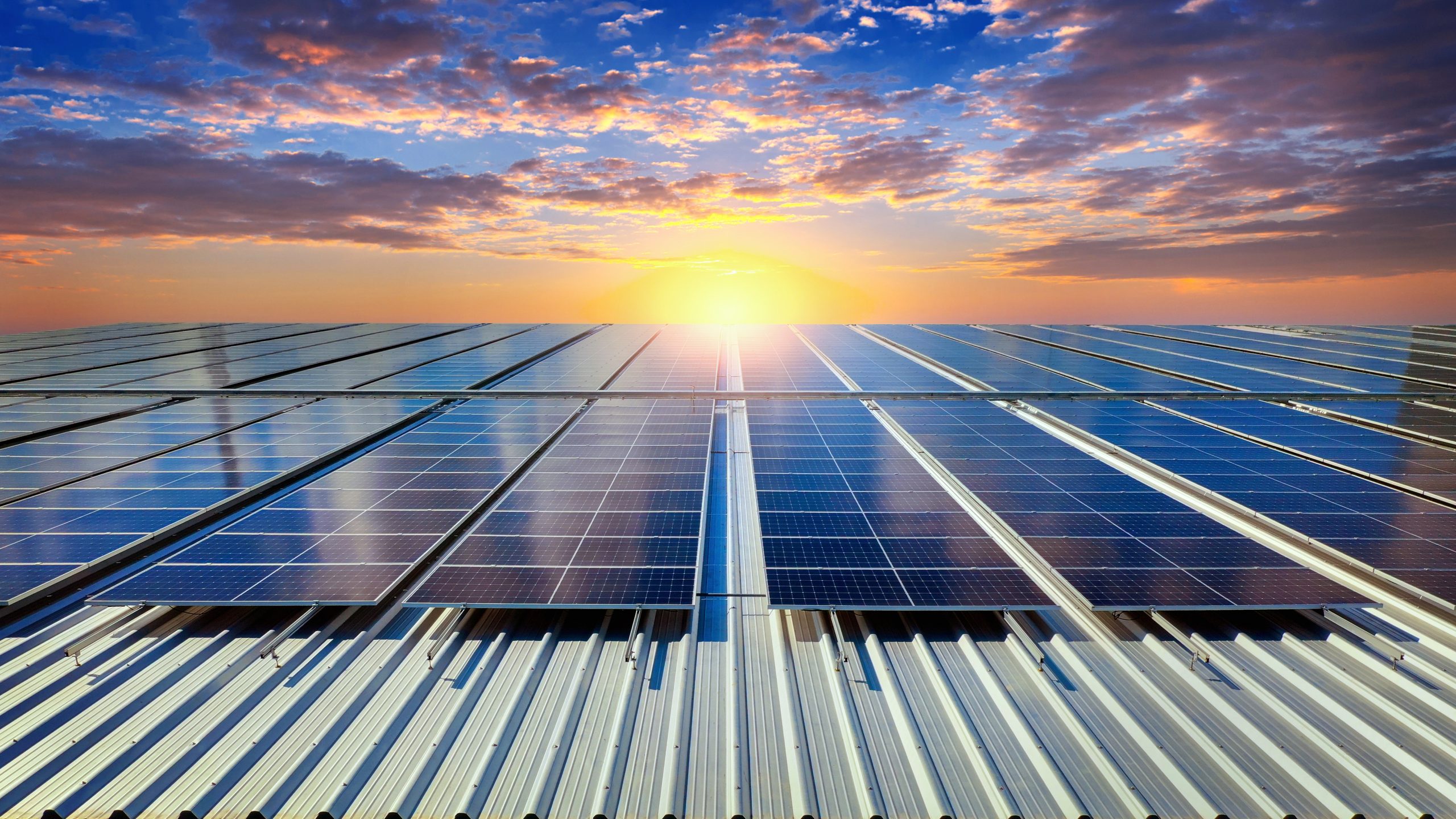 Paneles solares